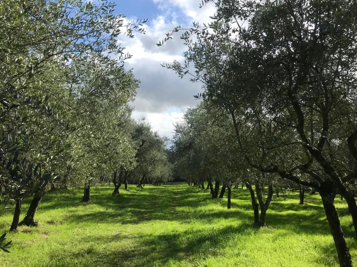 Podere I' Caldino Troghi